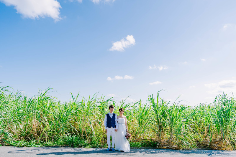 サトウキビ畑に囲まれて