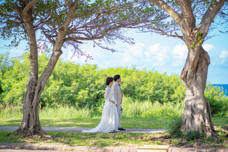 多幸の木の元で