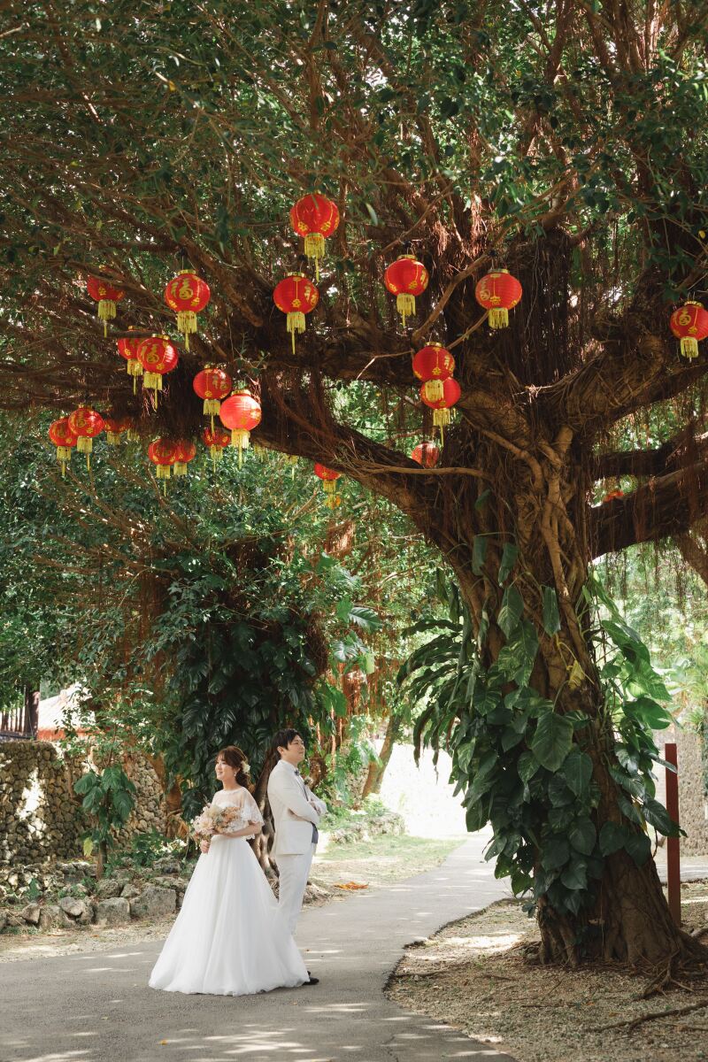 ガジュマルの下で