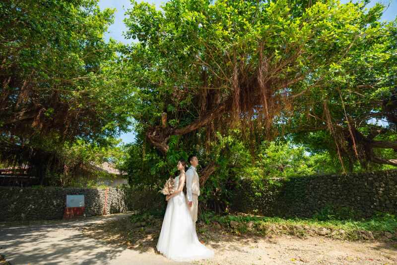 ガジュマルの木の下で