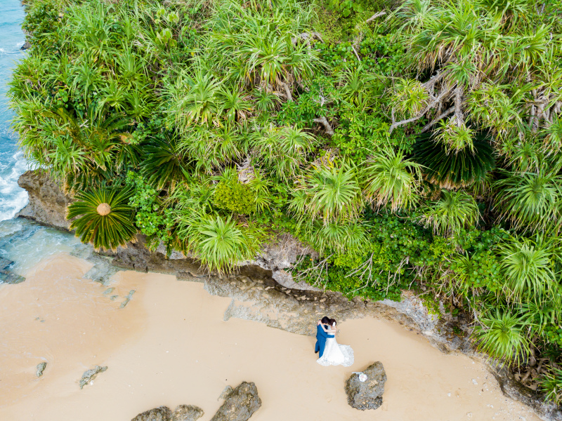 ドローンから見たら