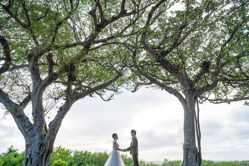 サロン周辺は自然で溢れています
