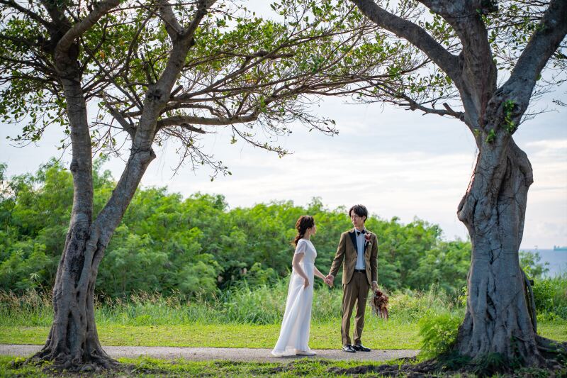 キャンバスに描かれたように