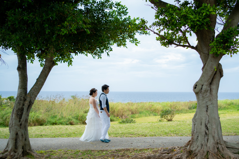 ガジュマルの並木道