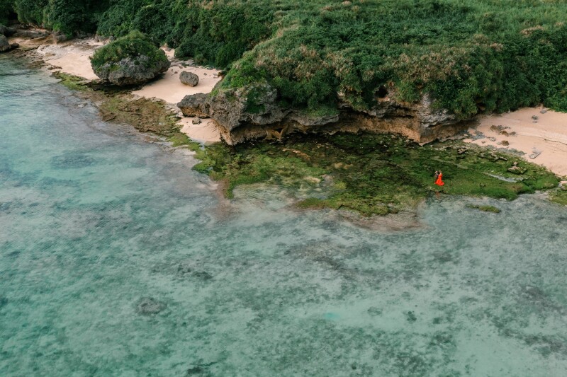 ドローンで上空から！