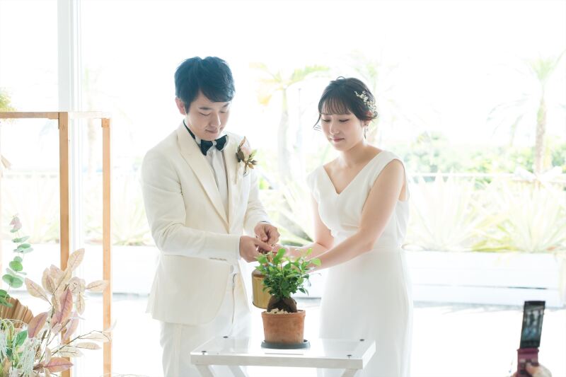 ガジュマルの樹