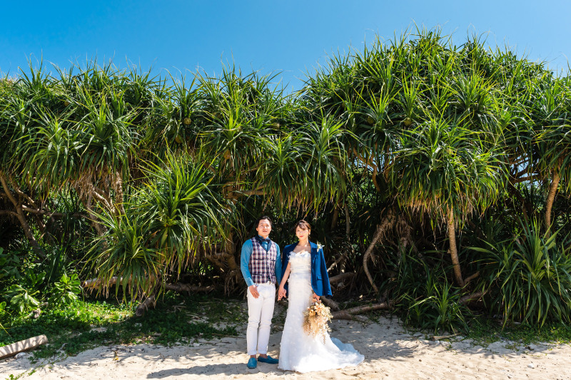 ビーチにもグリーンフォトスポットが