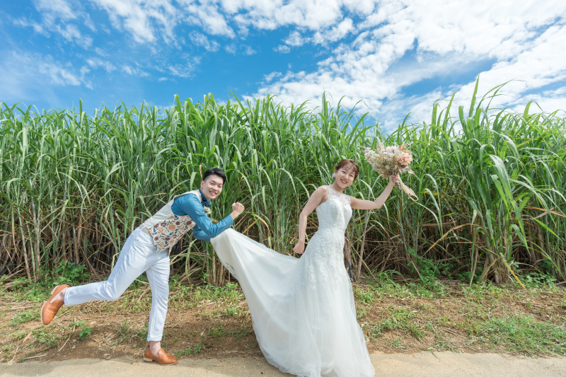 沖縄といえば！サトウキビ畑