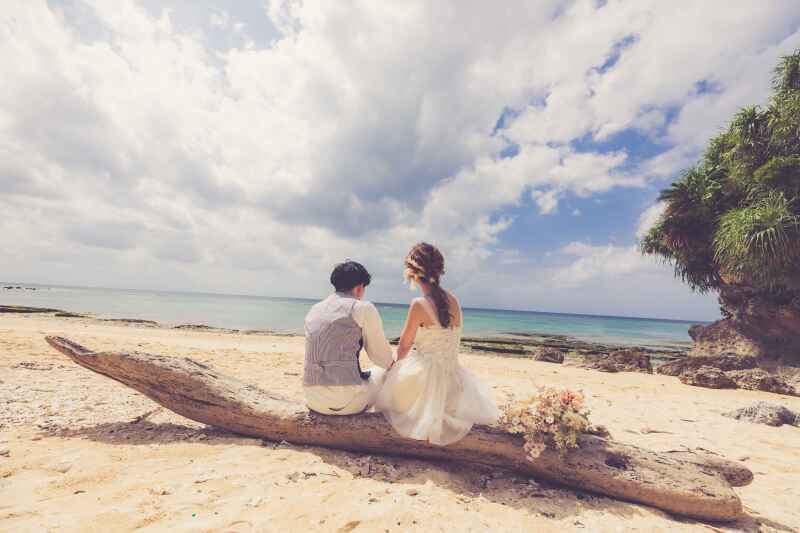 流木もイイ感じ