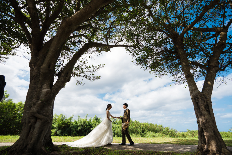 ガジュマル並木で・・・