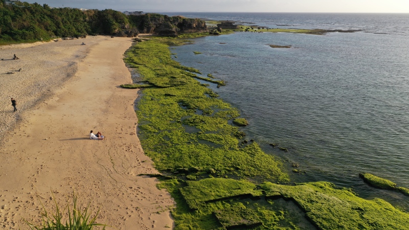 シエロ・イ・マーレ 沖縄 ~チャペルnature~_マタニティフォトの撮影ができる