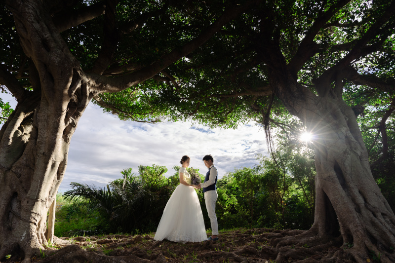 SNSでのシェアに。結婚式のオープニングムービーに