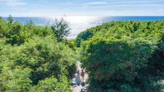 シエロ・イ・マーレ 沖縄 ~チャペルnature~_オープニングムービー／フォトシューティングプラン