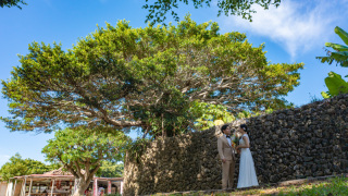 シエロ・イ・マーレ 沖縄 ~チャペルnature~_オープニングムービー／フォトシューティングプラン