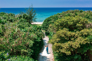 ドローンフォト/データ追加+5カット