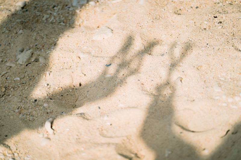 シエロ・イ・マーレ 沖縄 ~チャペルnature~_LGBTフレンドリー