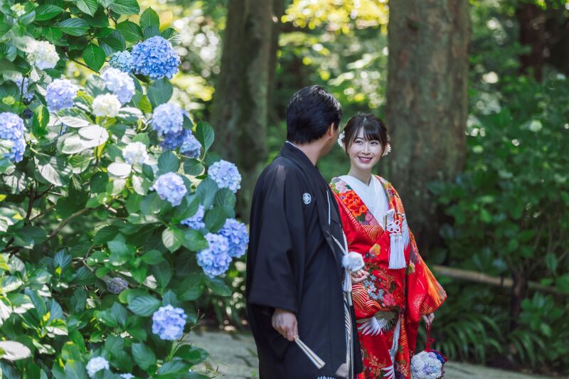 紫陽花が見頃でした！