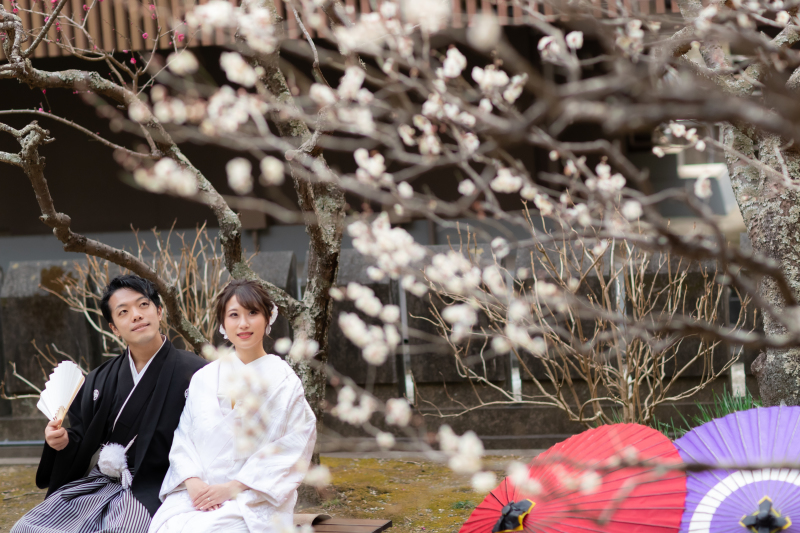 ２月梅の季節での撮影