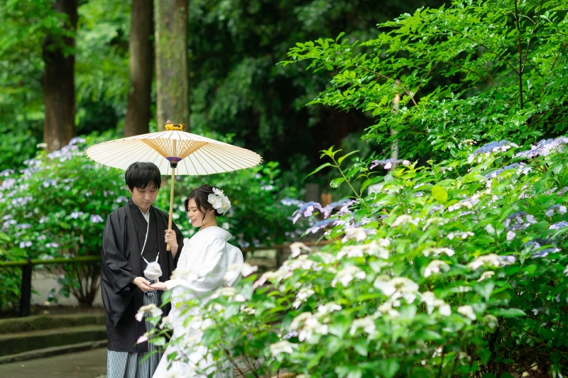 6月の弐点プラン～妙本寺＆スタジオ～