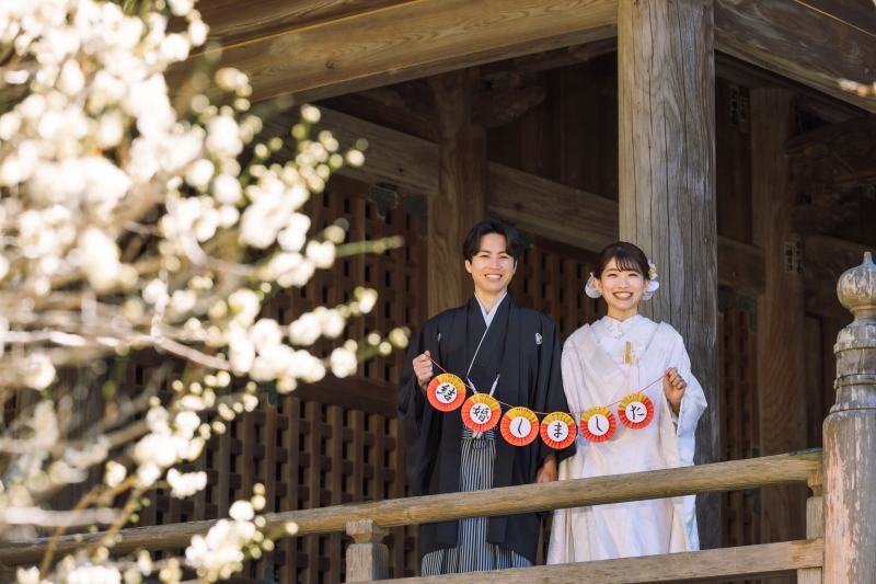 梅の花が綺麗に咲いていました
