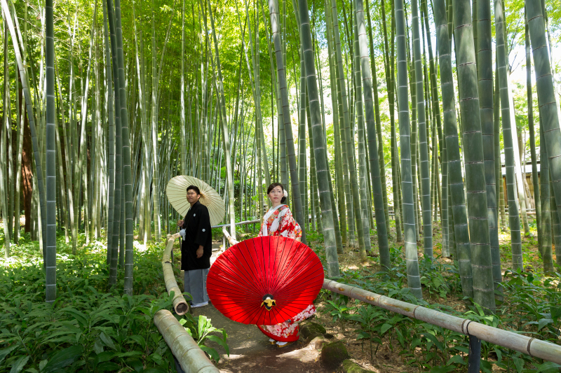 竹林のある寺院にて