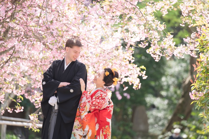 海棠の花が満開でした。