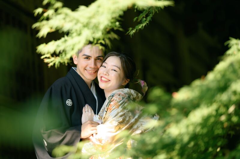 木々を照らす薄暑光