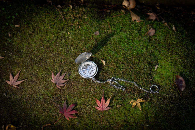 お二人がお持ちになられた懐中時計と、落ち葉と。