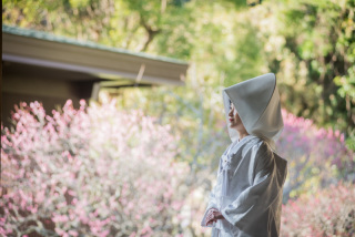 梅の時期の撮影　弐点プラン　ロケーション２か所　愛犬も一緒に！！