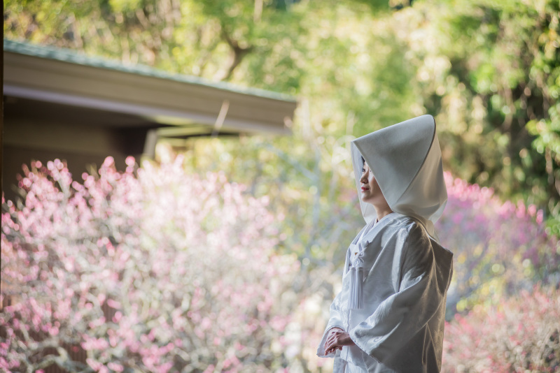 梅の時期の撮影　弐点プラン　ロケーション２か所　愛犬も一緒に！！