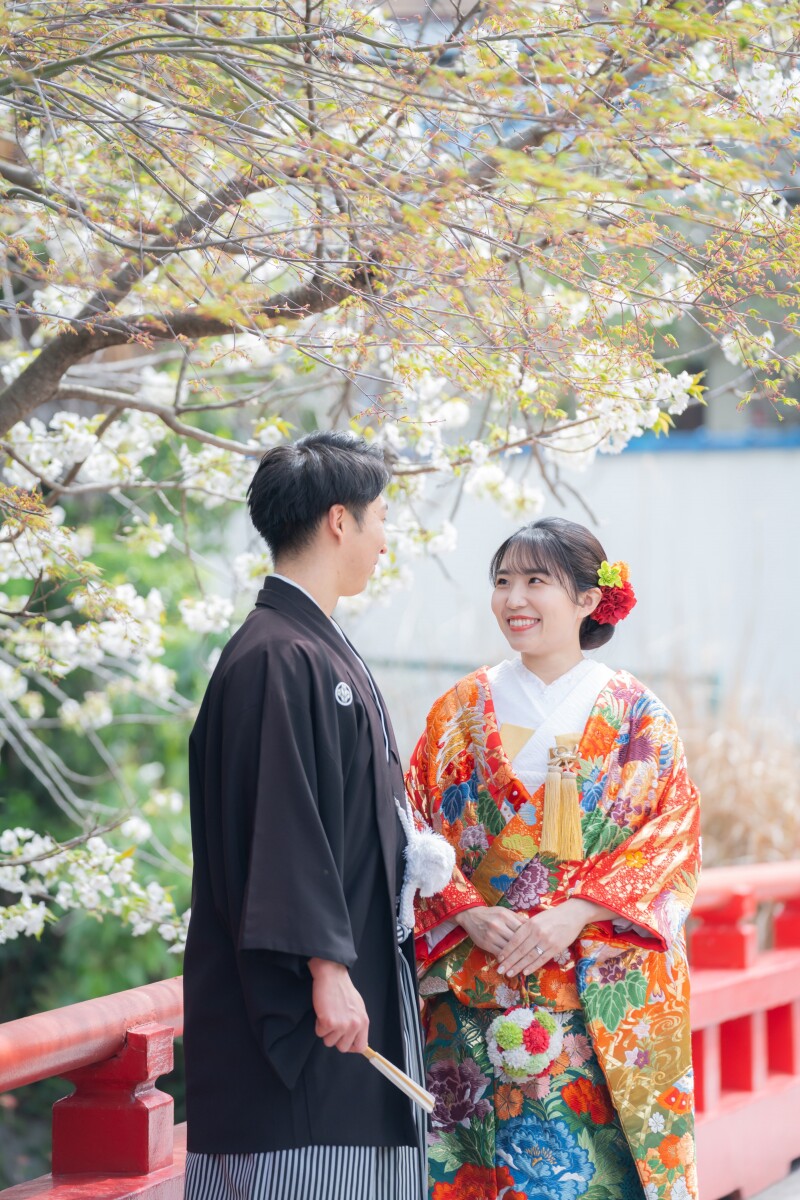 桜が綺麗な市内で撮影