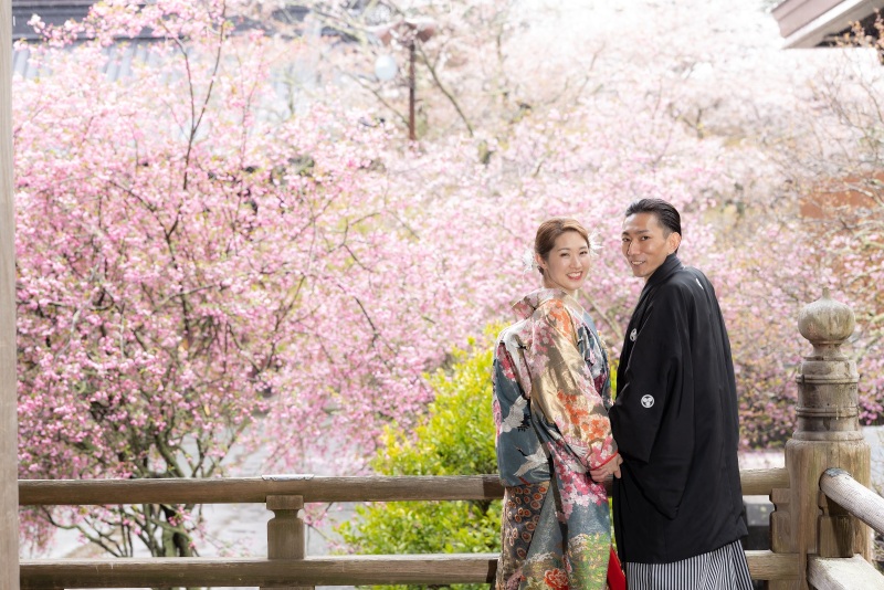 濃淡のピンクのグラデーションに、若葉の美しさ。