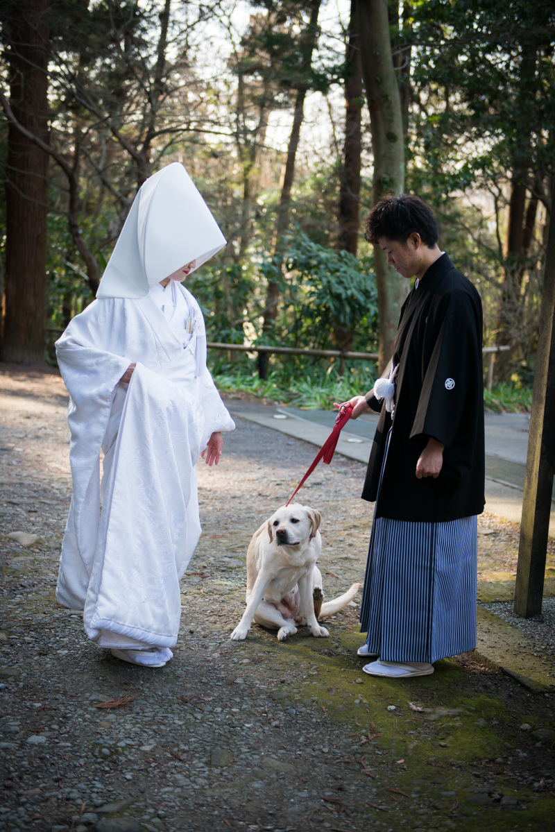 愛犬と一緒の撮影