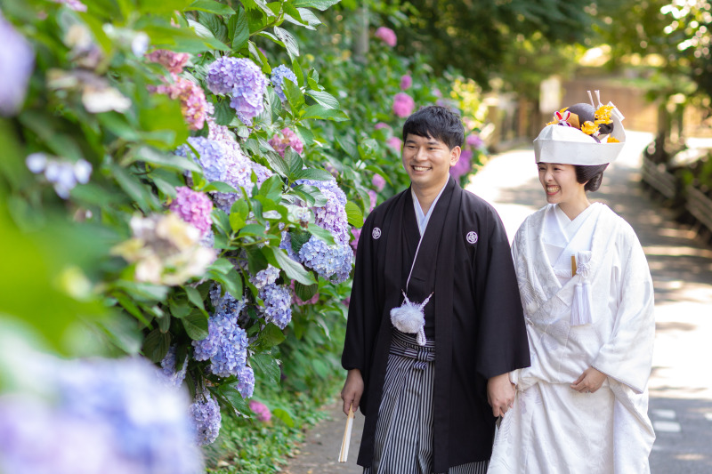 紫陽花の咲く小路を仲良くお散歩。