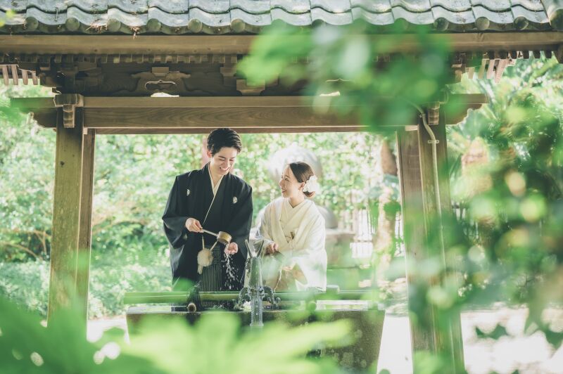 木陰を探しながら