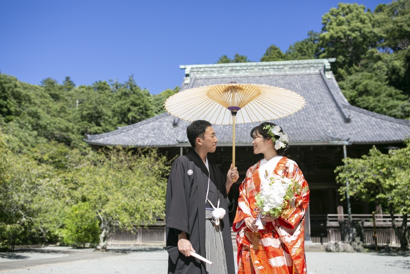 エネルギッシュな夏の青空を背景に。