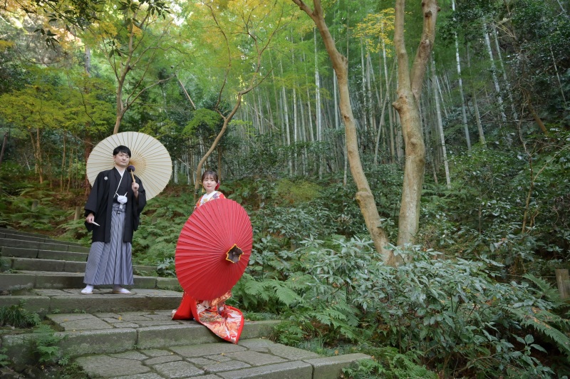 竹林と紅葉のコラボレーション。