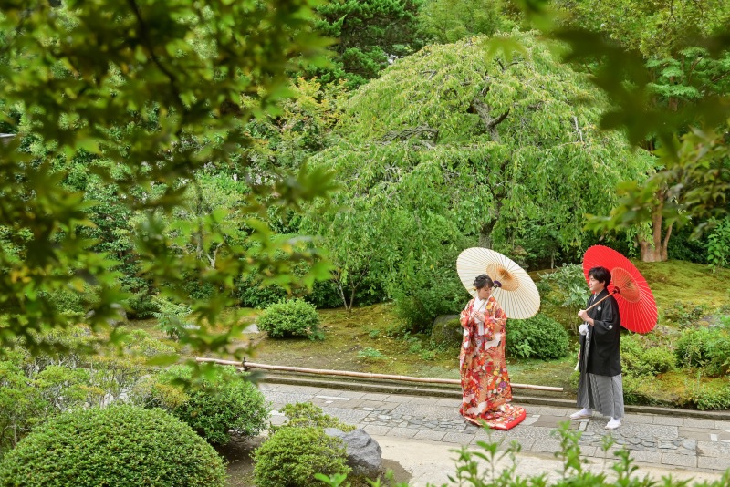 夏色のお庭をお散歩。