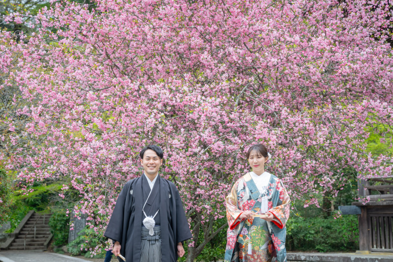 4月の弐点プラン～スタジオ＆妙本寺～