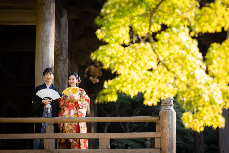 深緑の中での撮影