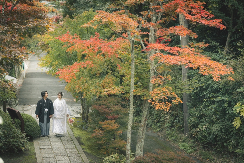 少しずつ彩ってきています