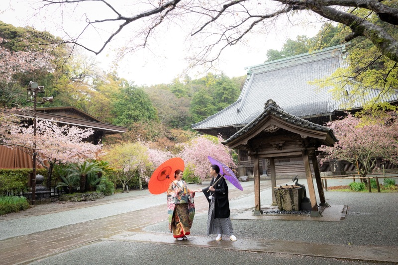 花咲く妙本寺は、お二人の世界。