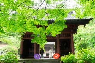 7月の弐点プラン～妙本寺＆スタジオ～