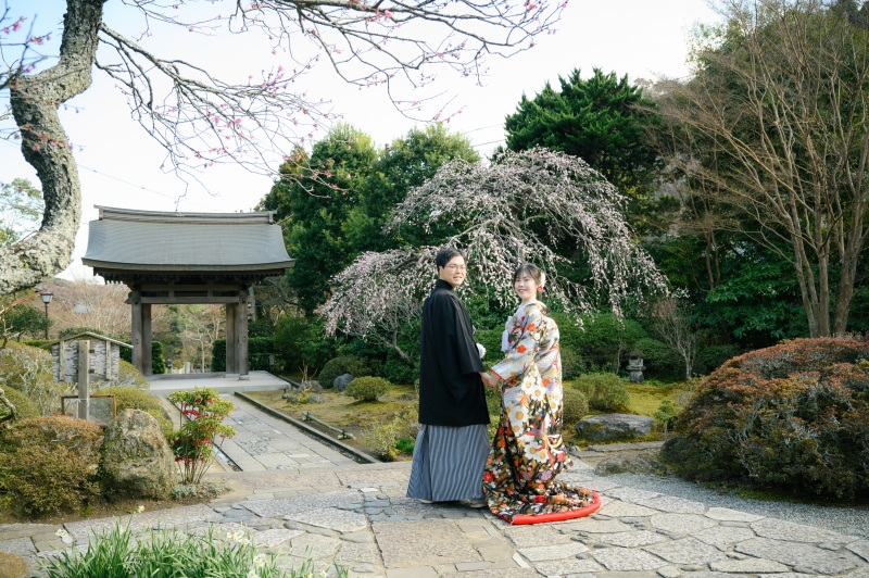 《 枝垂れ梅 》