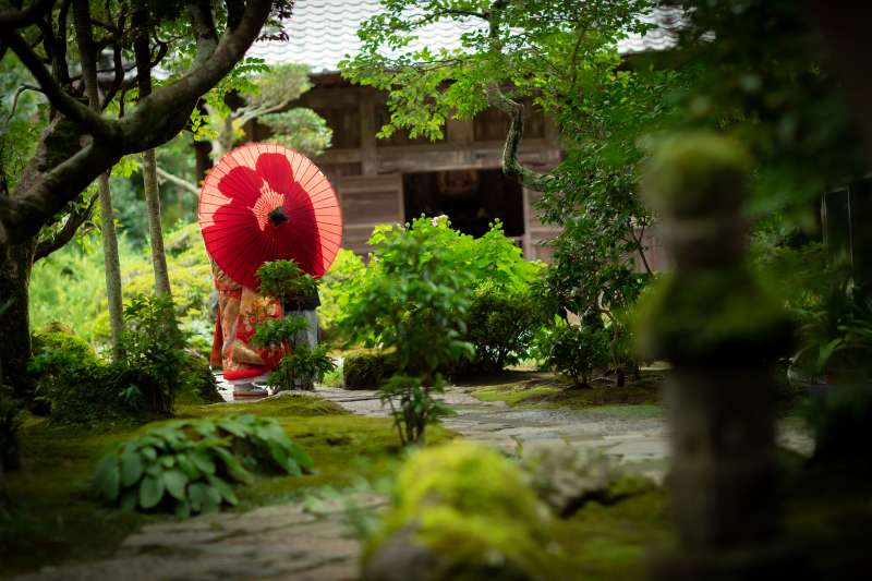 ロケーションとスタジオの撮影