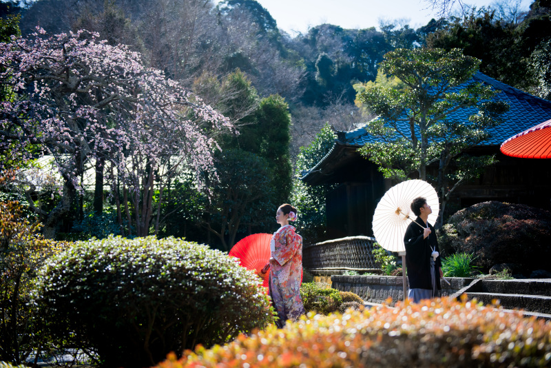 枝垂れ梅をバッグに