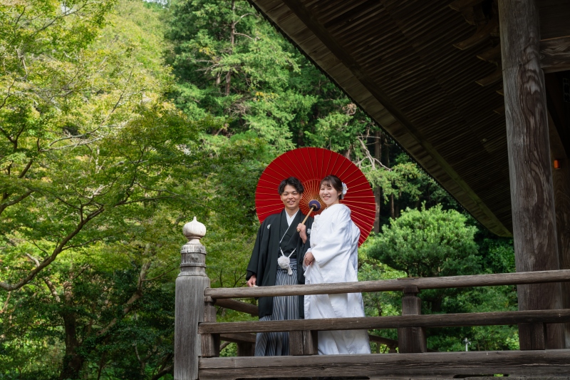 境内には緑が沢山あります