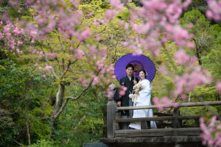 ３月の和装壱点プラン～妙本寺～