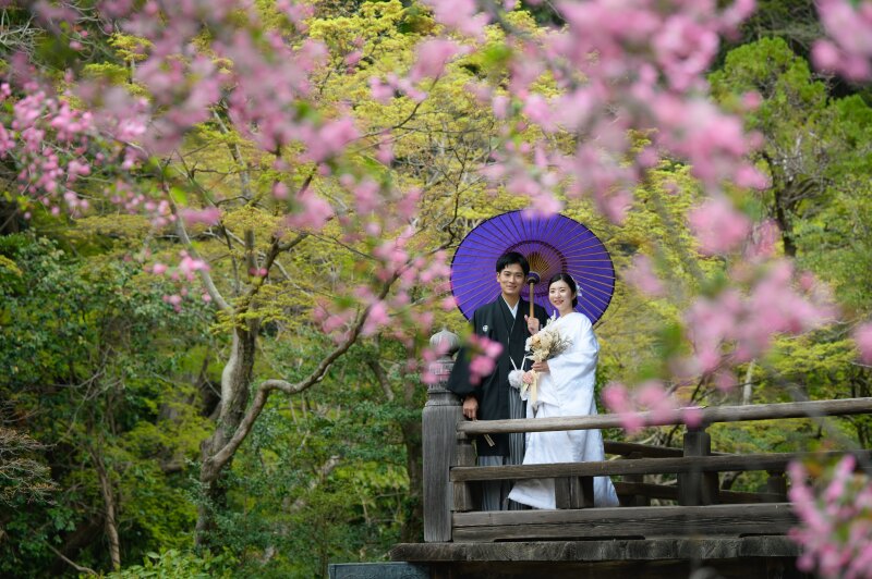３月の和装壱点プラン～妙本寺～