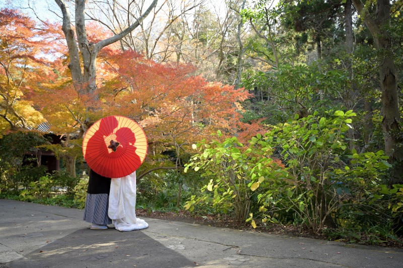シルエットショット。